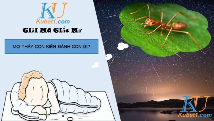 Giấc mơ thấy con kiến số mấy, mang điềm báo gì?