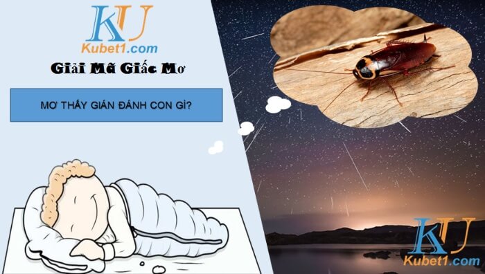 Mơ thấy gián đánh lô đề con số gì trúng lớn?