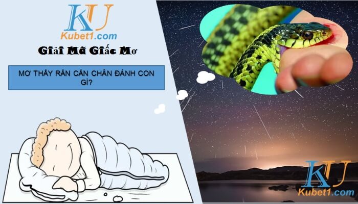 Mơ thấy rắn cắn chân đánh con gì thắng quả đậm?