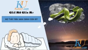 Nằm mơ thấy rắn xanh đánh lô đề con gì trúng lớn?