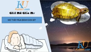 Giải mã giấc mơ thấy rùa đánh con gì để trúng lớn?