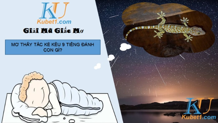 Tắc kè kêu 9 tiếng là hung hay cát? Đánh lô đề số mấy?