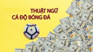 Thuật ngữ cá độ bóng đá