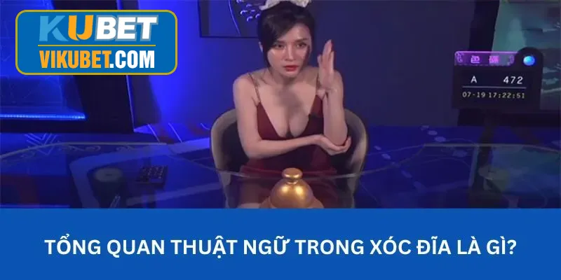 Tìm hiểu cụm từ chuyên dụng của xóc đĩa tại Ku