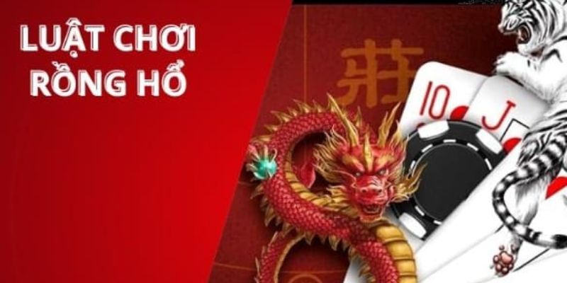 Hướng dẫn chơi tựa game Dragon & Tiger hiệu quả