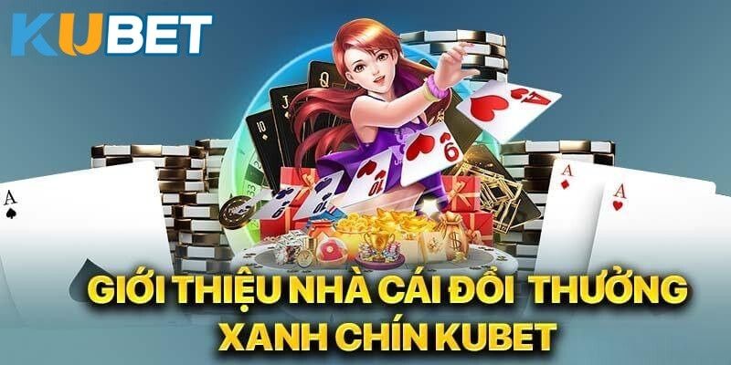 Đội ngũ phát triển của KUBET